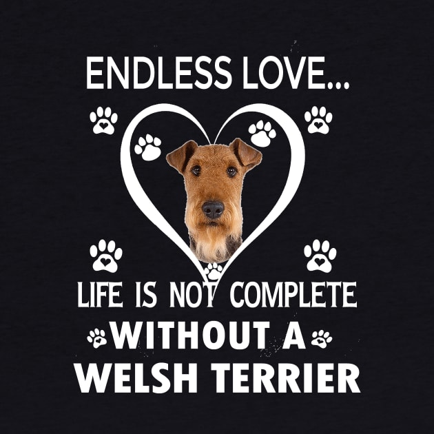 Welsh Terrier Lovers by bienvaem